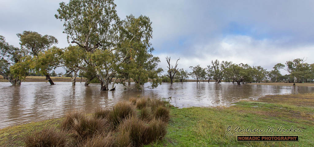 Flooded Creek